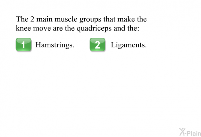 The 2 main muscle groups that make the knee move are the quadriceps and the:  Hamstrings. Ligaments.