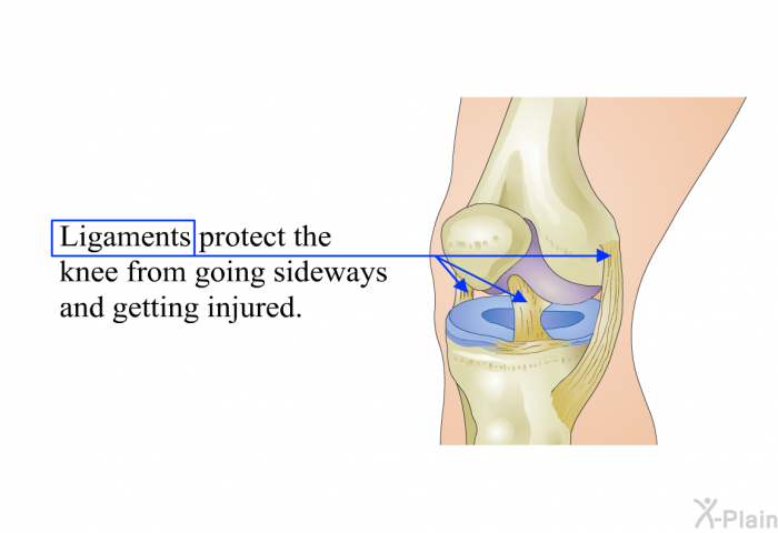 Ligaments protect the knee from going sideways and getting injured.