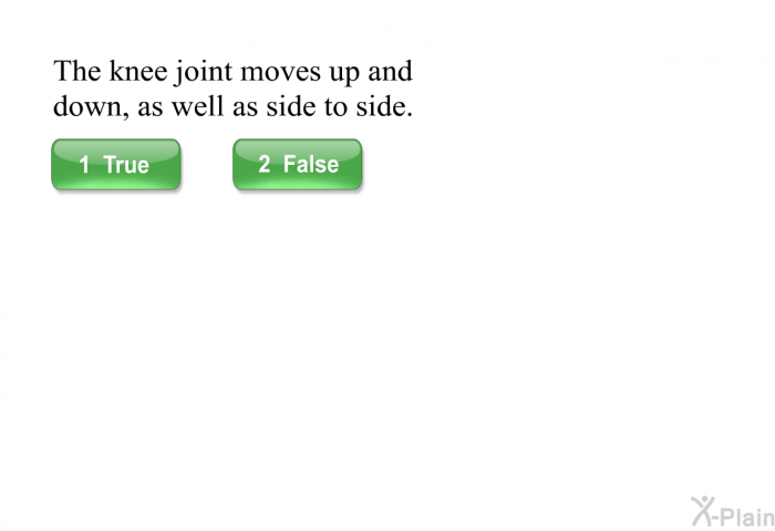 The knee joint moves up and down, as well as side to side.