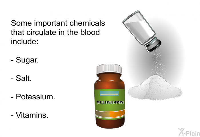 Some important chemicals that circulate in the blood include:  Sugar. Salt. Potassium. Vitamins.