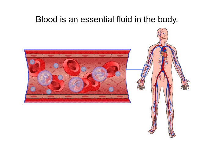 Blood is an essential fluid in the body.