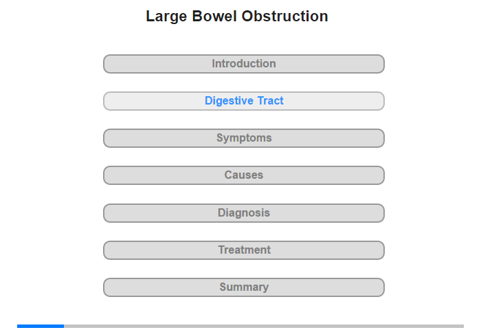 The Digestive Tract