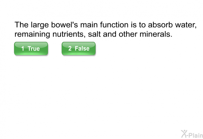 The large bowel's main function is to absorb water, remaining nutrients, salt and other minerals.