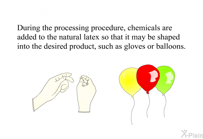 During the processing procedure, chemicals are added to the natural latex so that it may be shaped into the desired product, such as gloves or balloons.
