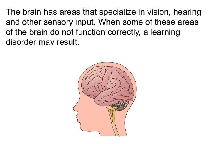 The brain has areas that specialize in vision, hearing and other sensory input. When some of these areas of the brain do not function correctly, a learning disorder may result.