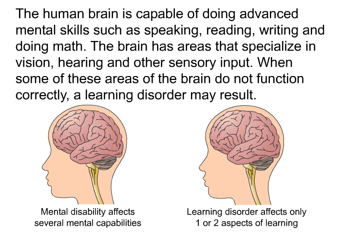 The human brain is capable of doing advanced mental skills such as speaking, reading, writing and doing math. The brain has areas that specialize in vision, hearing and other sensory input. When some of these areas of the brain do not function correctly, a learning disorder may result.