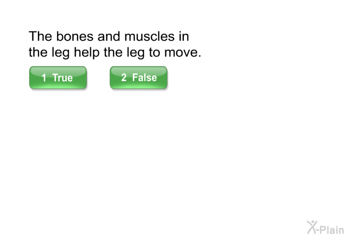 The bones and muscles in the leg help the leg to move. Select True or False.