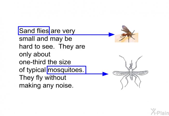 Sand flies are very small and may be hard to see. They are only about one-third the size of typical mosquitoes. They fly without making any noise.