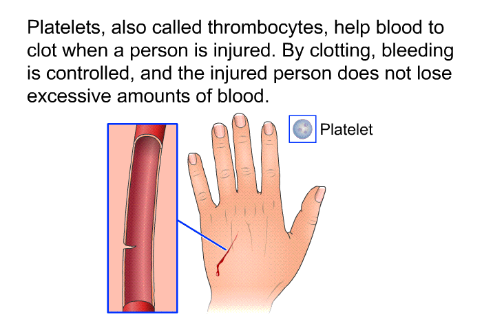 Platelets, also called thrombocytes, help blood to clot when a person is injured. By clotting, bleeding is controlled, and the injured person does not lose excessive amounts of blood.
