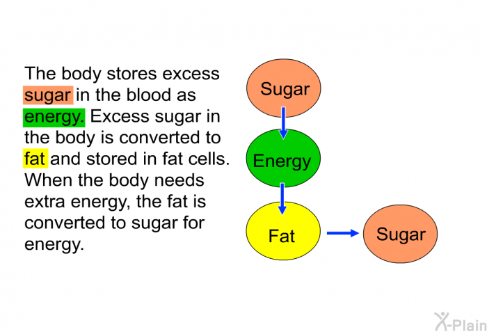 The body stores excess sugar in the blood as energy. Excess sugar in the body is converted to fat and stored in fat cells. When the body needs extra energy, the fat is converted to sugar for energy.
