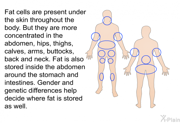 Fat cells are present under the skin throughout the body. But they are more concentrated in the abdomen, hips, thighs, calves, arms, buttocks, back and neck. Fat is also stored inside the abdomen around the stomach and intestines. Gender and genetic differences help decide where fat is stored as well.