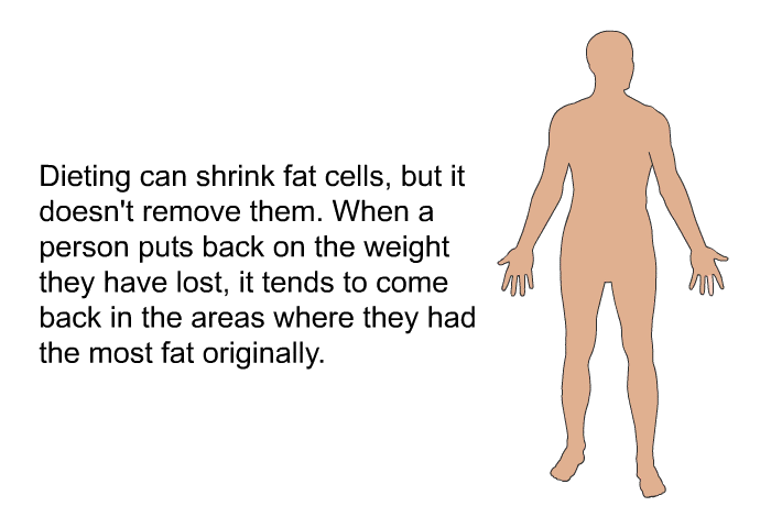 Dieting can shrink fat cells, but it doesn't remove them. When a person puts back on the weight they have lost, it tends to come back in the areas where they had the most fat originally.