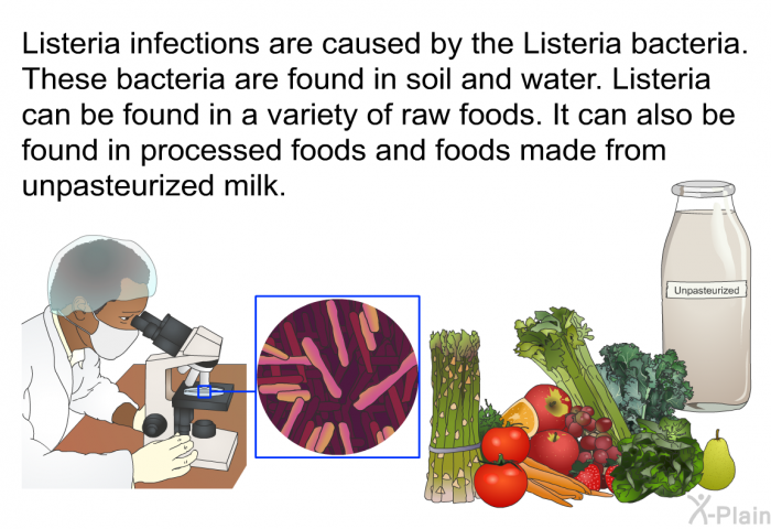 Listeria infections are caused by the Listeria bacteria. These bacteria are found in soil and water. Listeria can be found in a variety of raw foods. It can also be found in processed foods and foods made from unpasteurized milk.