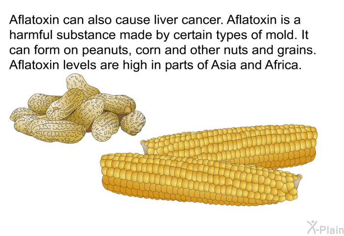 Aflatoxin can also cause liver cancer. Aflatoxin is a harmful substance made by certain types of mold. It can form on peanuts, corn and other nuts and grains. Aflatoxin levels are high in parts of Asia and Africa.