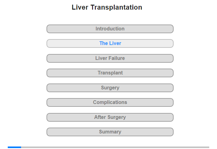 The Liver