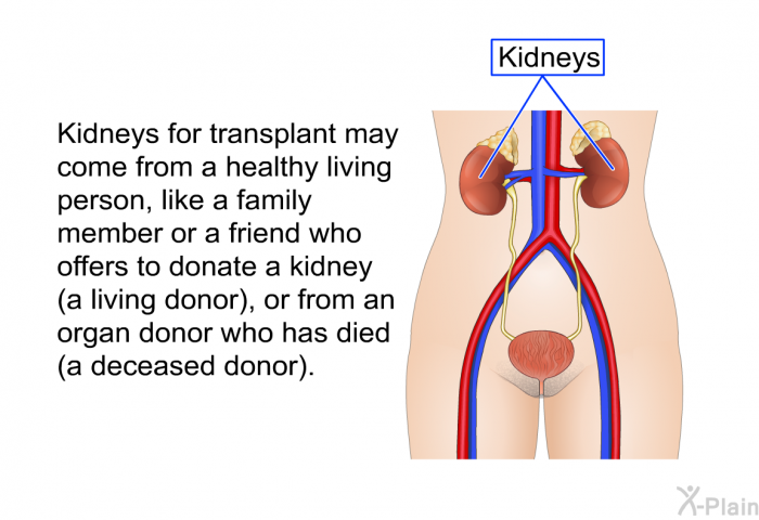 Kidneys for transplant may come from a healthy living person, like a family member or a friend who offers to donate a kidney (a living donor), or from an organ donor who has died (a deceased donor).