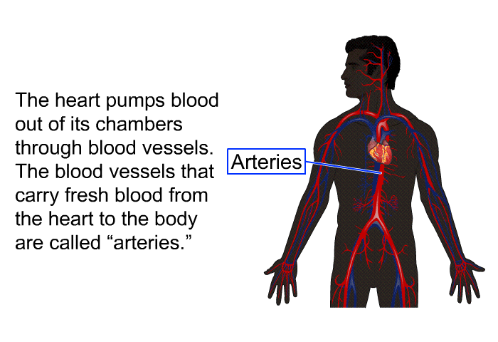 The heart pumps blood out of its chambers through blood vessels. The blood vessels that carry fresh blood from the heart to the body are called &ldquo;arteries.&rdquo;