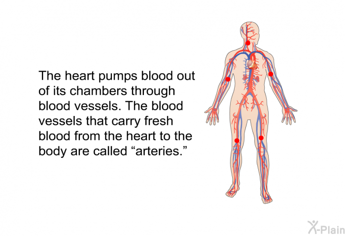 The heart pumps blood out of its chambers through blood vessels. The blood vessels that carry fresh blood from the heart to the body are called “arteries.”