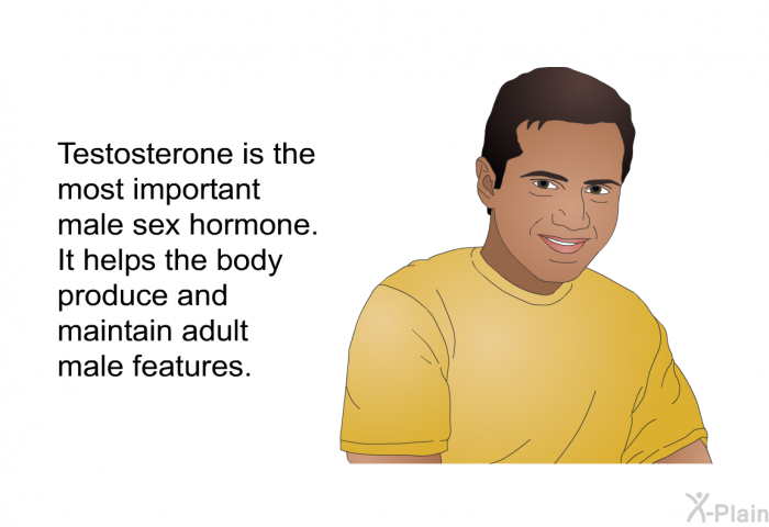 Testosterone is the most important male sex hormone. It helps the body produce and maintain adult male features.