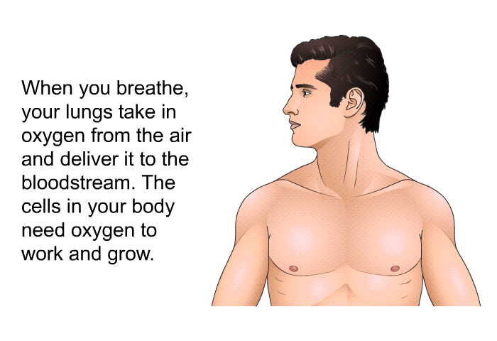 When you breathe, your lungs take in oxygen from the air and deliver it to the bloodstream. The cells in your body need oxygen to work and grow.
