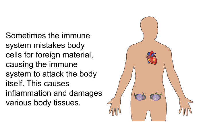 Sometimes the immune system mistakes body cells for foreign material, causing the immune system to attack the body itself. This causes inflammation and damages various body tissues.