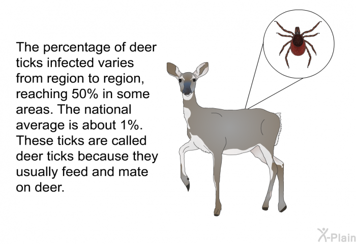 The percentage of deer ticks infected varies from region to region, reaching 50% in some areas. The national average is about 1%. These ticks are called deer ticks because they usually feed and mate on deer.