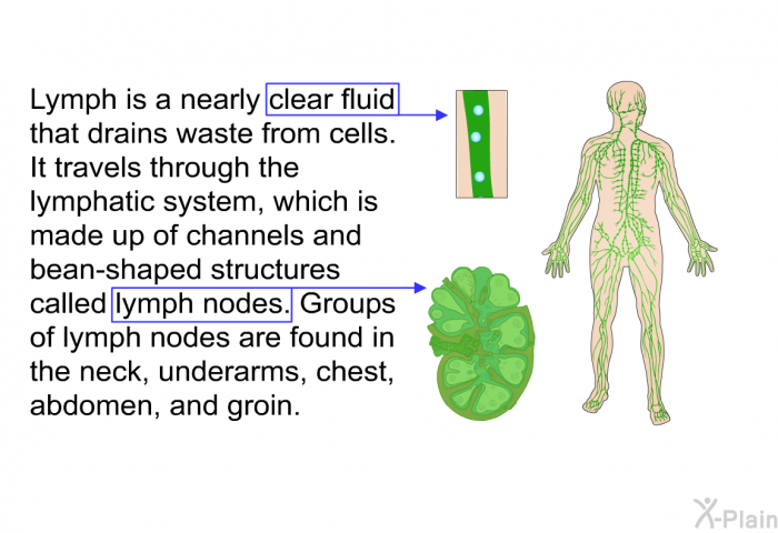Lymph is a nearly clear fluid that drains waste from cells. It travels through the lymphatic system, which is made up of channels and bean-shaped structures called lymph nodes. Groups of lymph nodes are found in the neck, underarms, chest, abdomen, and groin.
