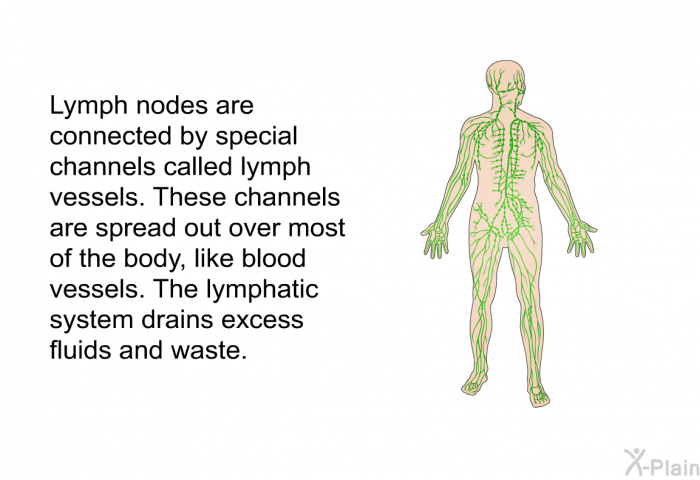 Lymph nodes are connected by special channels called lymph vessels. These channels are spread out over most of the body, like blood vessels. The lymphatic system drains excess fluids and waste.