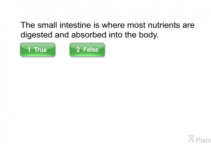 The small intestine is where most nutrients are digested and absorbed into the body.