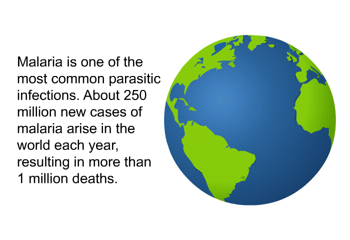 Malaria is one of the most common parasitic infections. About 250 million new cases of malaria arise in the world each year, resulting in more than 1 million deaths.