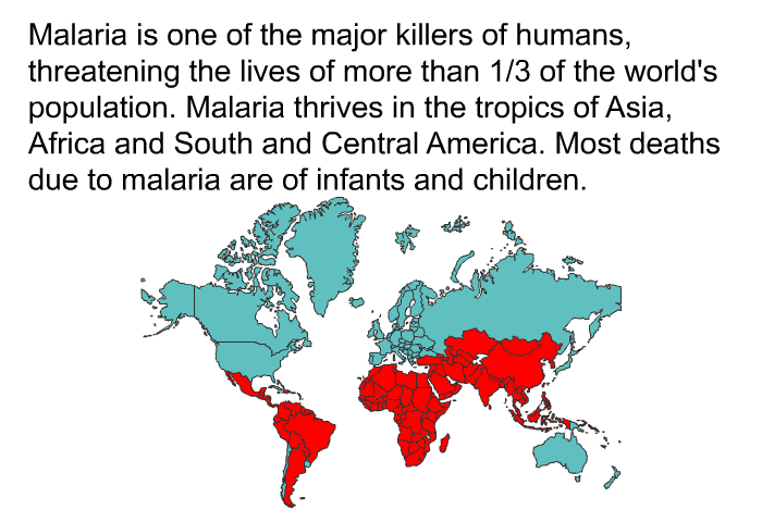 Malaria is one of the major killers of humans, threatening the lives of more than 1/3 of the world's population. Malaria thrives in the tropics of Asia, Africa and South and Central America. Most deaths due to malaria are of infants and children.