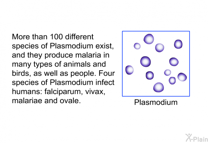 More than 100 different species of <EM CLASS=