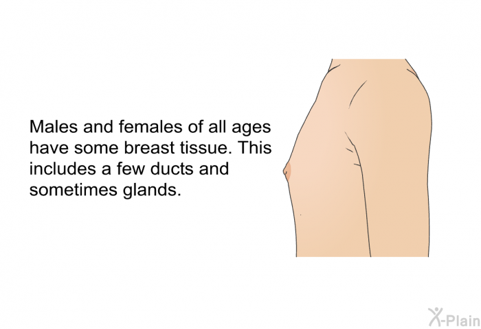 Males and females of all ages have some breast tissue. This includes a few ducts and sometimes glands.