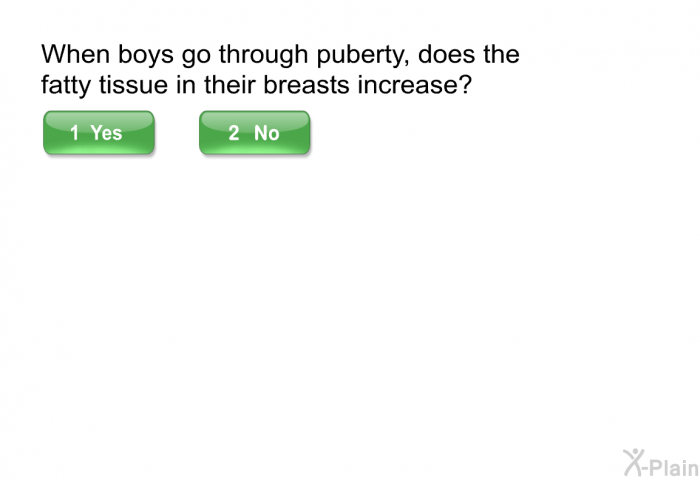 When boys go through puberty, does the fatty tissue in their breasts increase?