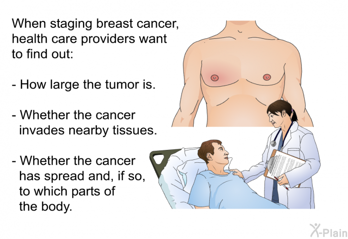When staging breast cancer, health care providers want to find out:  How large the tumor is. Whether the cancer invades nearby tissues. Whether the cancer has spread and, if so, to which parts of the body.