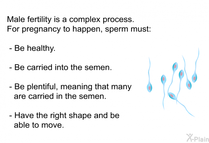 Male fertility is a complex process. For pregnancy to happen, sperm must:  Be healthy. Be carried into the semen. Be plentiful, meaning that many are carried in the semen. Have the right shape and be able to move.