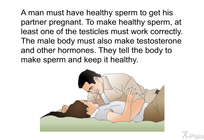 A man must have healthy sperm to get his partner pregnant. To make healthy sperm, at least one of the testicles must work correctly. The male body must also make testosterone and other hormones. They tell the body to make sperm and keep it healthy.