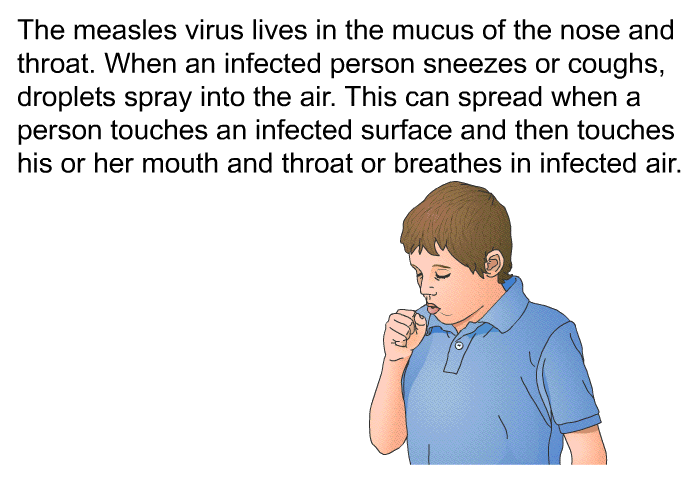 The measles virus lives in the mucus of the nose and throat. When an infected person sneezes or coughs, droplets spray into the air. This can spread when a person touches an infected surface and then touches his or her mouth, nose, or eyes, or breathes in infected air.