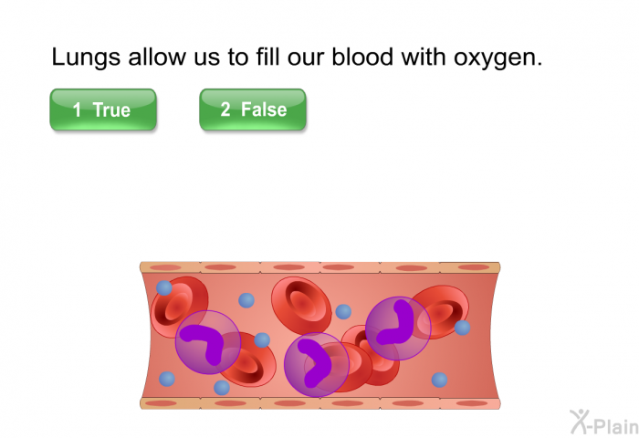 Lungs allow us to fill our blood with oxygen. Select True or False.