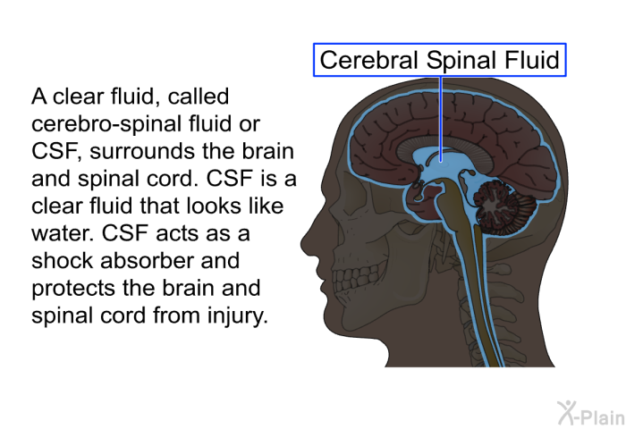 A clear fluid, called cerebro-spinal fluid or CSF, surrounds the brain and spinal cord. CSF is a clear fluid that looks like water. CSF acts as a shock absorber and protects the brain and spinal cord from injury.
