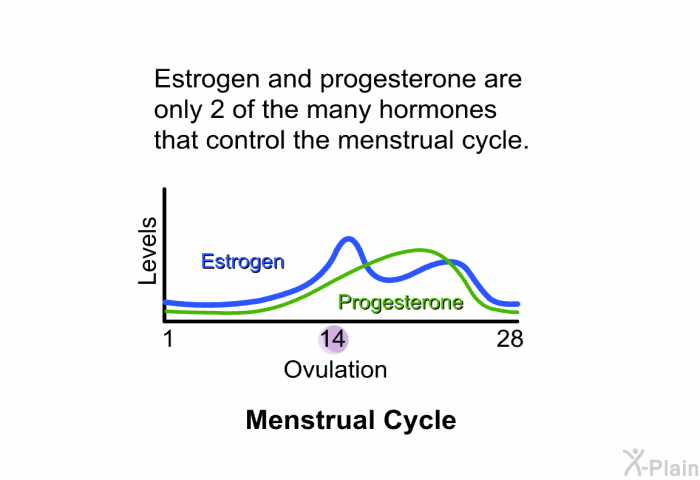Estrogen and progesterone are only 2 of the many hormones that control the menstrual cycle.