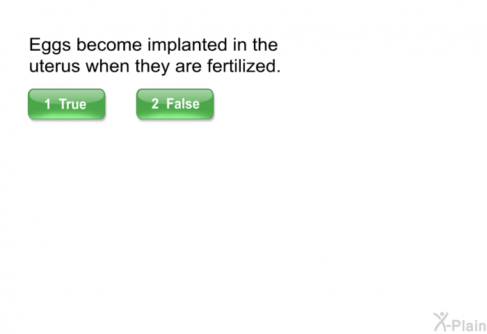 Eggs become implanted in the uterus when they are fertilized.