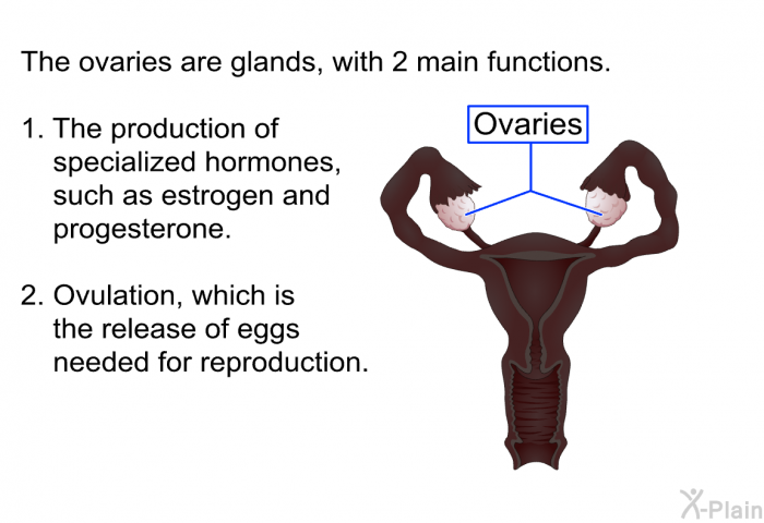The ovaries are glands, with 2 main functions.  The production of specialized hormones, such as estrogen and progesterone. Ovulation, which is the release of eggs needed for reproduction.
