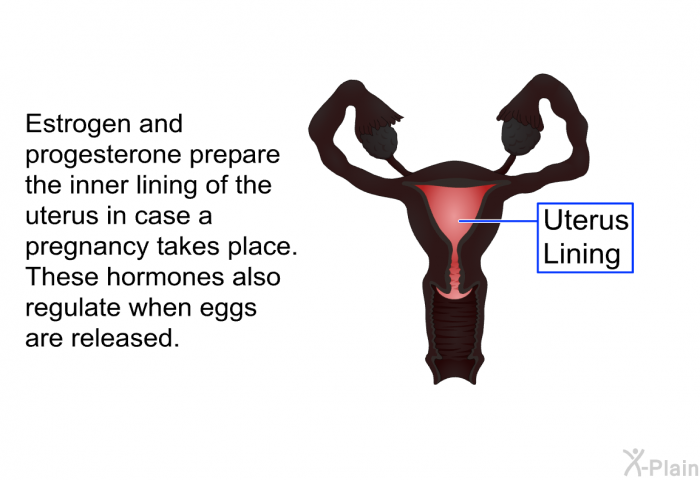 Estrogen and progesterone prepare the inner lining of the uterus in case a pregnancy takes place. These hormones also regulate when eggs are released.