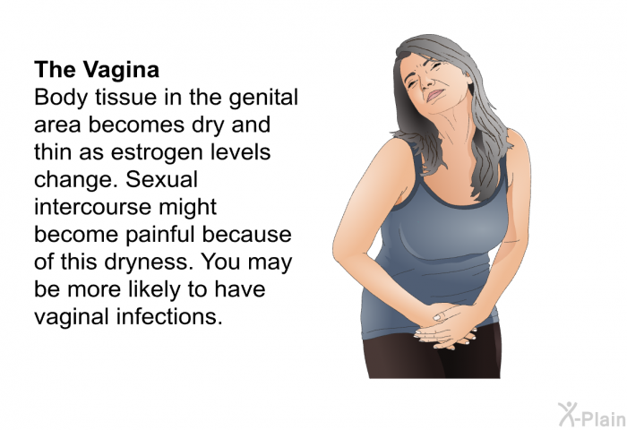 <B>The Vagina:</B> Body tissue in the genital area becomes dry and thin as estrogen levels change. Sexual intercourse might become painful because of this dryness. You may be more likely to have vaginal infections.