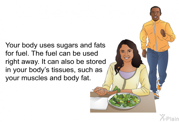 Your body uses sugars and fats for fuel. The fuel can be used right away. It can also be stored in your body's tissues, such as your muscles and body fat.