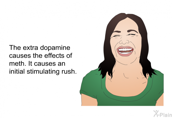 The extra dopamine causes the effects of meth. It causes an initial stimulating rush.