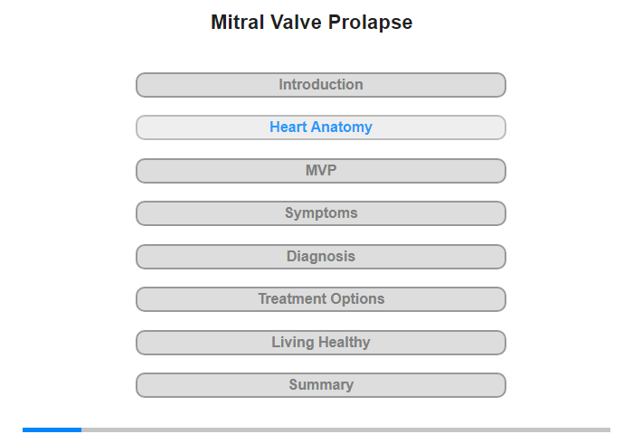 Heart Anatomy