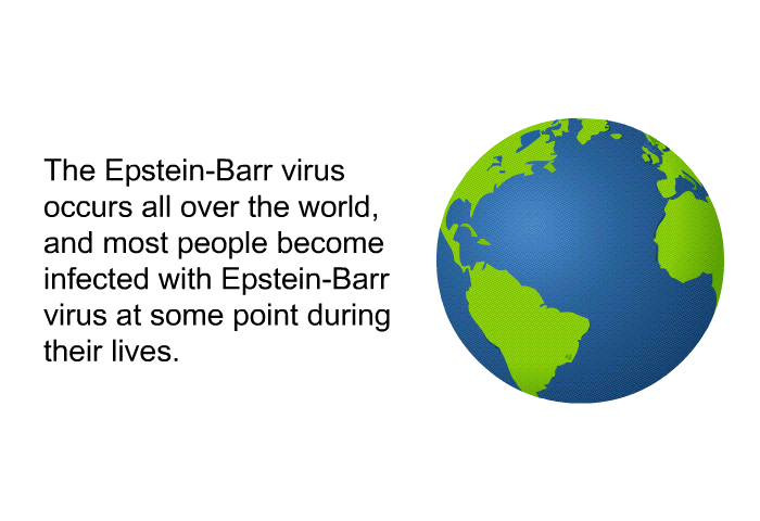 The Epstein-Barr virus occurs all over the world, and most people become infected with Epstein-Barr virus at some point during their lives.
