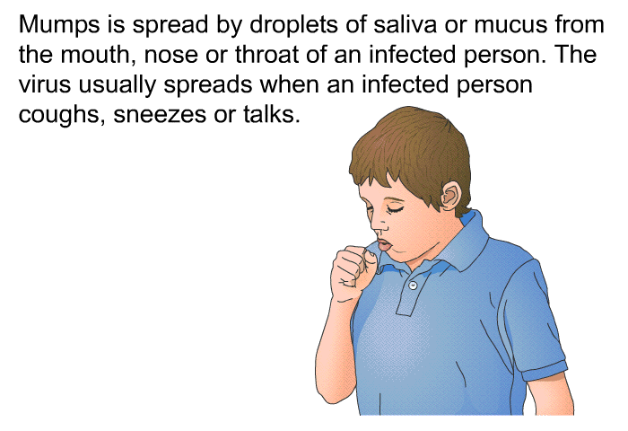 Mumps is spread by droplets of saliva or mucus from the mouth, nose or throat of an infected person. The virus usually spreads when an infected person coughs, sneezes or talks.